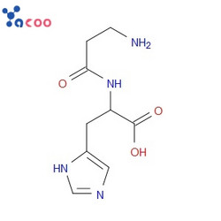 核糖核酸酶