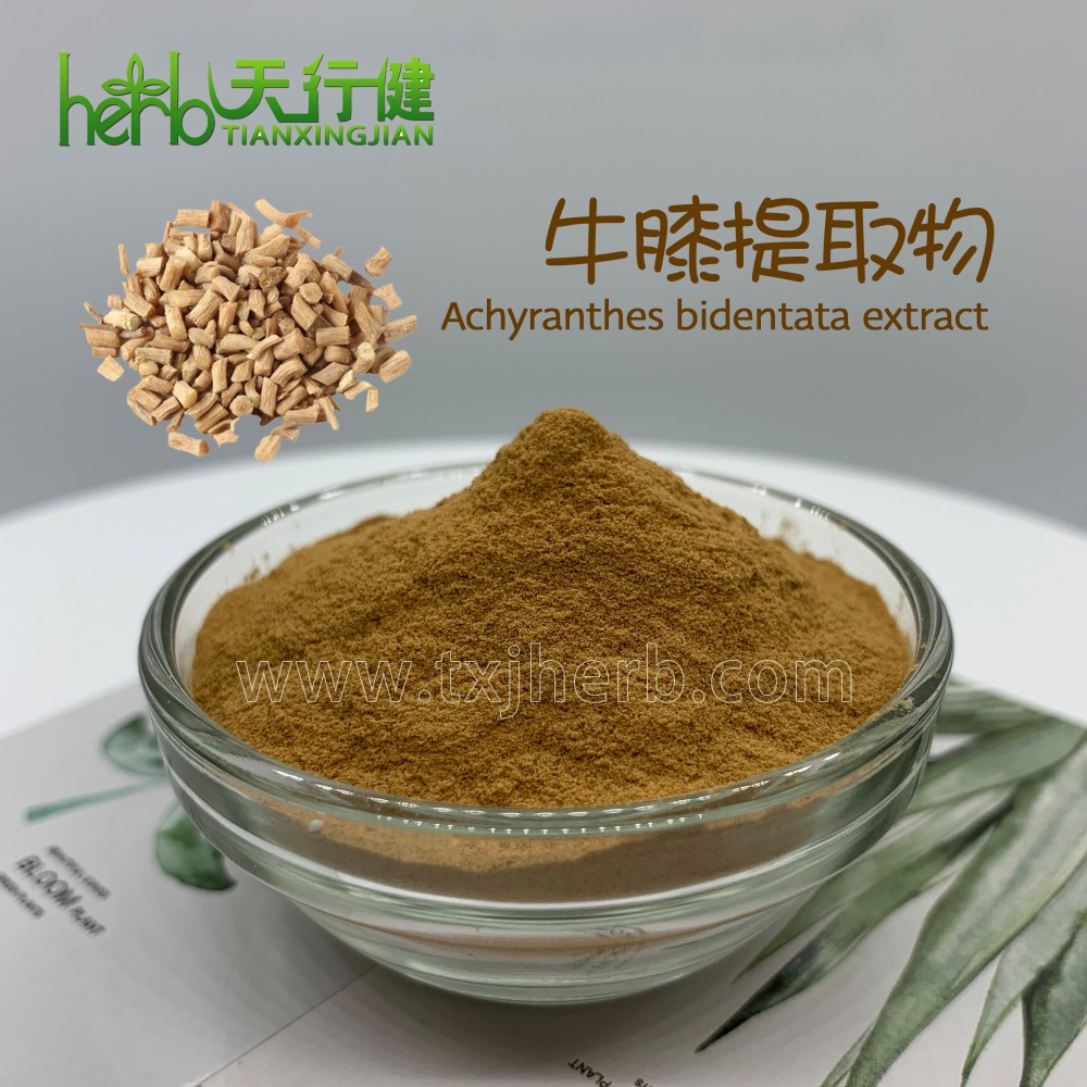 牛膝提取物10：1