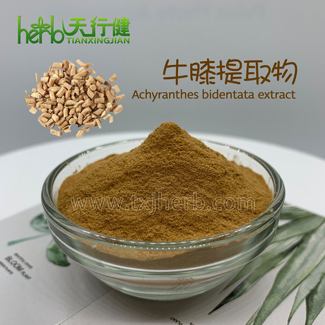 牛膝提取物10：1