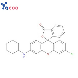 3’-氯-6’-(环己基氨基)荧烷  26206-78-0