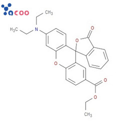 螺旋(异苯并呋喃-1 (3H)，9 (9H)氧杂蒽-2-羧酸-6- ( 二乙氨基)-3-氧代-乙酯 154306-60-2