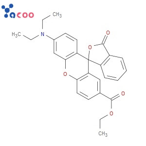 螺旋(异苯并呋喃-1 (3H)，9 (9H)氧杂蒽-2-羧酸-6- ( 二乙氨基)-3-氧代-乙酯 154306-60-2