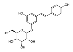 虎杖苷 98% min by HPLC