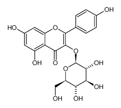 紫芸英苷/黄芪苷