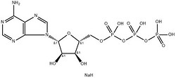三磷酸腺苷二钠