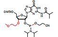3’-O-MOE-G(iBu)-2’-phosphoramidite; 5’-O-DMTr-N2-iso-butyroyl-3’-O-(2-methoxyethyl)guanosine-2’-CED-
