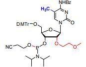 2’-O-MOE-5Me-C(Bz)-3’-phosphoramiditeN4-Bz-5’-O-DMTr-2’-O-(2-methoxyethyl)-5-methyluridine-3’-CED-p