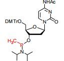 5’-DMTr-dC(Ac)-methyl phosphonamidite
N4-Acetyl-5’-O-DMTr-2’-deoxycytidine-3’-O-(P-methyl-N,N-diisop