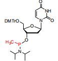 5’-O-DMTr-dU-methyl phosphonamidite
5’-O-DMTr-2’-deoxyuridine-3’-O-(P-methyl-N,N-diisopropylamino)
p