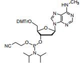 5’-O-DMTr-N6-methyl-2’-deoxyadenosine 3’-CED phosphoramidite