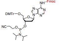 5’-O-DMTr-N6-Fmoc-dA-phosphoramidite
5’-O-(4,4’-Dimethoxytrityl)-2'-deoxy-N6-[(9H-fluoren-9-ylmethox