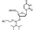 DMT-dU amidite
2’-Deoxy-5’-O-(4,4-dimethoxytrityl) uridine-3’-CED phosphoramidite