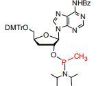 5’-DMTr-3’dA(Bz)-methylphosphonamidite
N6-Benzoyl-5’-O-DMTr-3’-deoxyadenosine-3’-O-(P-methyl-N,N-dii