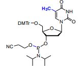 T-3’-phosphoramidite
5’-O-DMTr-thymidine-3’-CED phosphoramidite; 5’-O-(4,4’-Dimethoxytri
tyl)thymidi