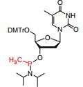 5’-DMTr-T-methyl phosphonamidite
5’-O-DMTr-thymidine-3’-O-(P-methyl-N,N-diisopropylamino)
phosphonam