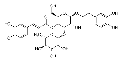 麦角甾苷；毛蕊花糖苷