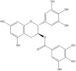 表沒(méi)食子酸丙酯(GCG)