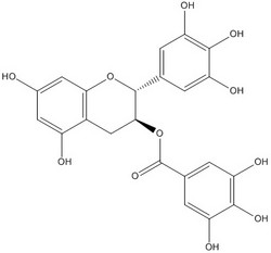 表没食子酸丙酯(GCG)