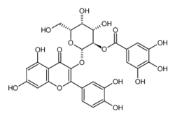2-O-没食子酰基金丝桃苷