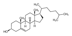 膽固醇