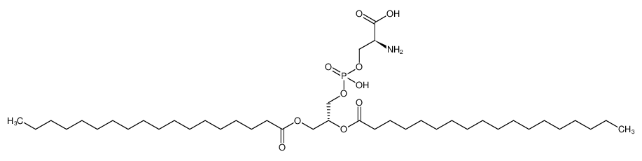 磷脂酰丝氨酸