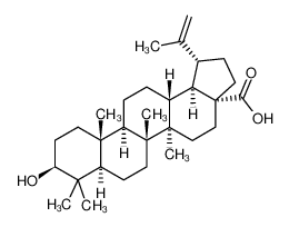 表白樺脂酸