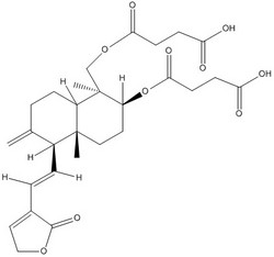 脫水穿心蓮內(nèi)酯二琥珀酸半酯