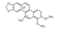 白屈菜红碱
