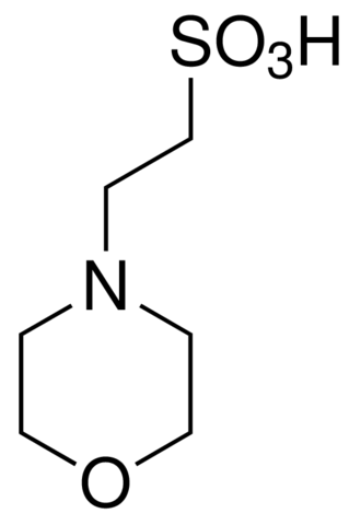 2-吗啉乙磺酸