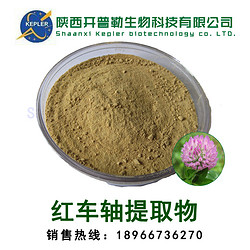 红车轴提取物 8%总异黄酮 保健食品SC工厂 免费样品