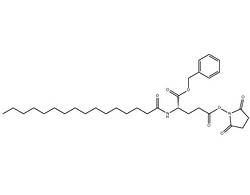 Pal-Glu(OSu)-Obn（Pal-Glu(OSu)-Obzl）