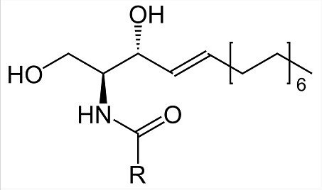 神经酰胺 NP英文名（INCI）：CERAMIDE 3