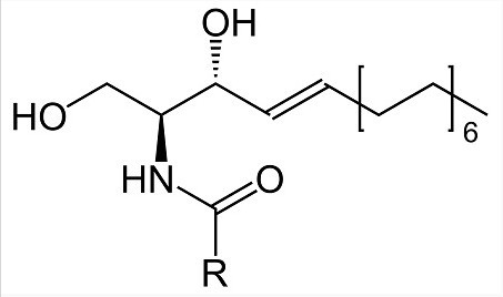 神经酰胺 NP英文名（INCI）：CERAMIDE 3