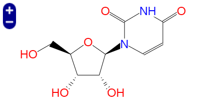 尿苷, Uridine