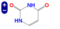 尿嘧啶, Uracil