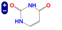 尿嘧啶, Uracil