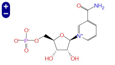 β-烟酰胺单核苷酸， β-Nicotinamide Mononucleotide