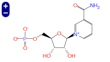 β-烟酰胺单核苷酸， β-Nicotinamide Mononucleotide