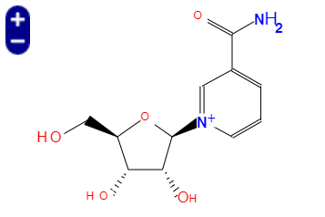 煙酰胺核糖, Nicotinamide Riboside