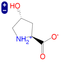 羟脯氨酸, Hydroxyproline