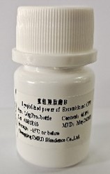 重組羧肽酶B / Recombinant Carboxypeptidase B (CPB)