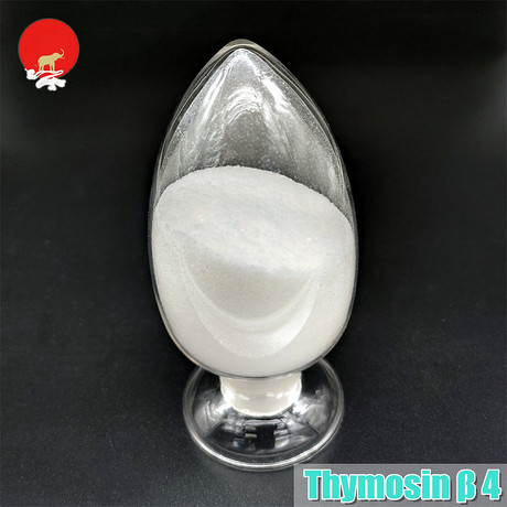 胸腺素β4 / Thymosin BETA 4 CAS 77591-33-4