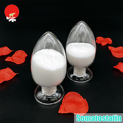 生長(zhǎng)抑素 / Somatostatin Acetate CAS 51110-01-1