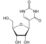 假尿苷，Pseudouridine