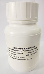 重组双碱性氨基酸内肽酶 / Recombinant Kex2