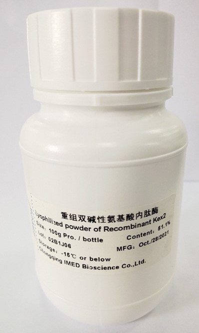 重组双碱性氨基酸内肽酶 / Recombinant Kex2