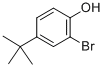 2-溴-4-叔丁基苯酚