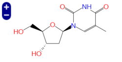 β-胸苷，β-Thymidine