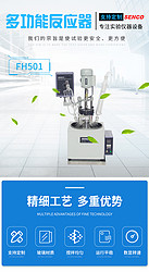 FH501玻璃反應器