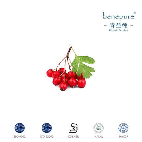 山楂提取物